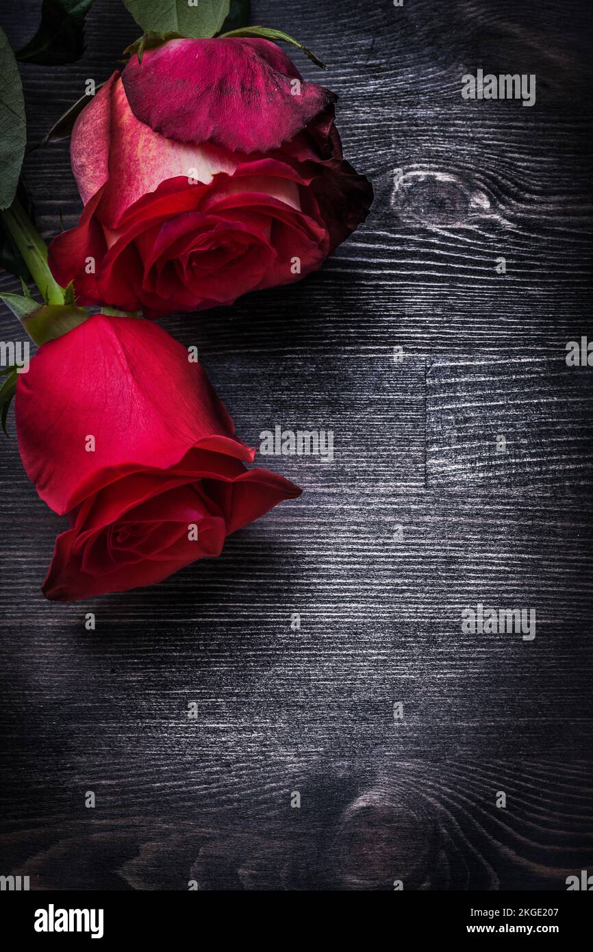 Erweiterte natürliche duftende Rosen auf Holzhintergrund Urlaubskonzept. Stockfoto