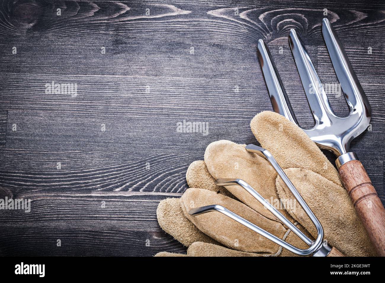 Gartenkelle Gabelrechen Leder Arbeitshandschuhe Landwirtschaftskonzept. Stockfoto