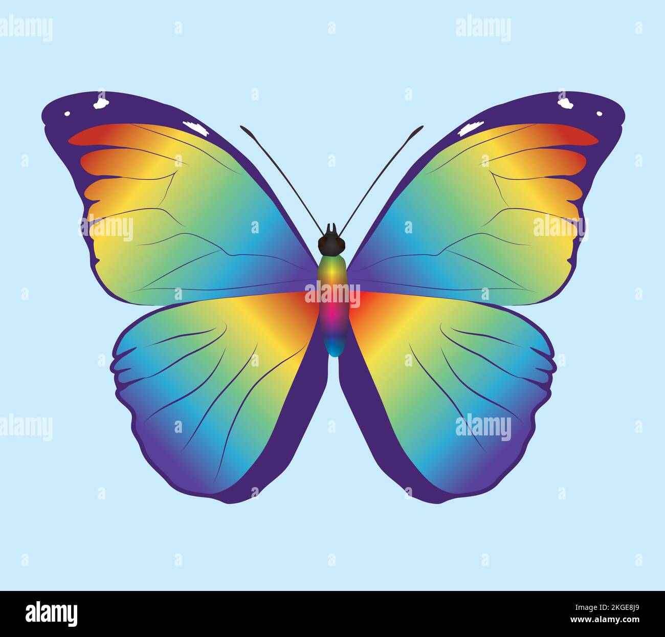 Regenbogen-Morphium menelaus-Schmetterling. Die Flügel sind mit einem Regenbogenverlauf gefüllt. Auch der Körper des Insekts ist ein Regenbogen. Dorsale Ansicht. Stock Vektor