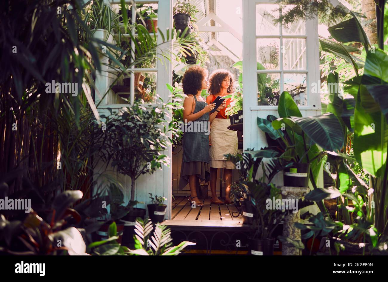 Schwarze Frauen, Pflanzen und Gewächshaus zum Entspannen, Kleinunternehmer und Blumenhändler. Afroamerikanische Frau, Damen und Natur für Vegetation, Flora Stockfoto