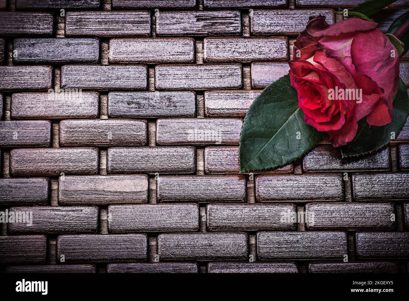 Rote, erweiterte Rose auf Korbholzmatte Nahaufnahme. Stockfoto