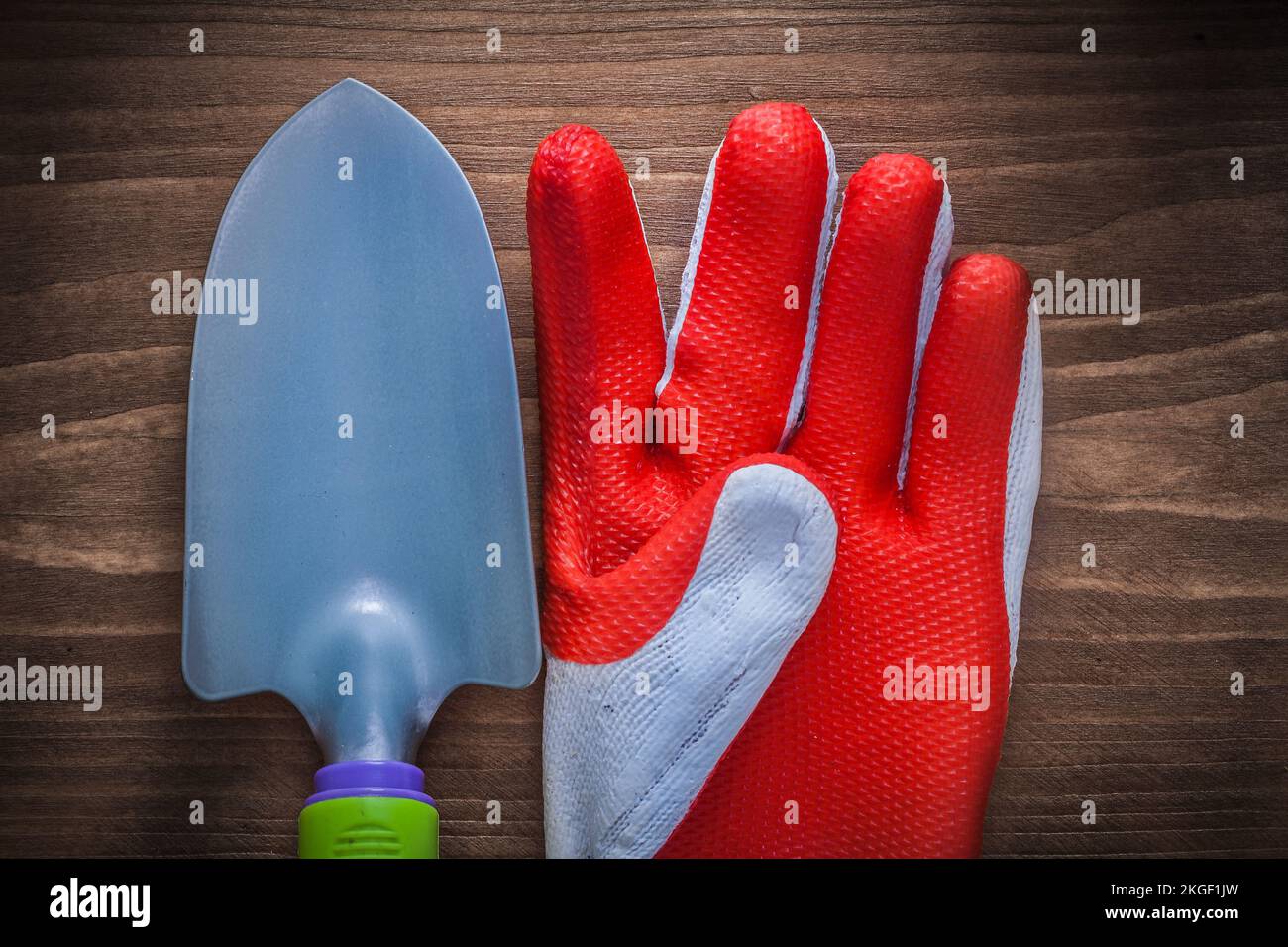 Schutzhandschuh und Handspaten für Edelgärtnereien auf Holzbrettern. Stockfoto