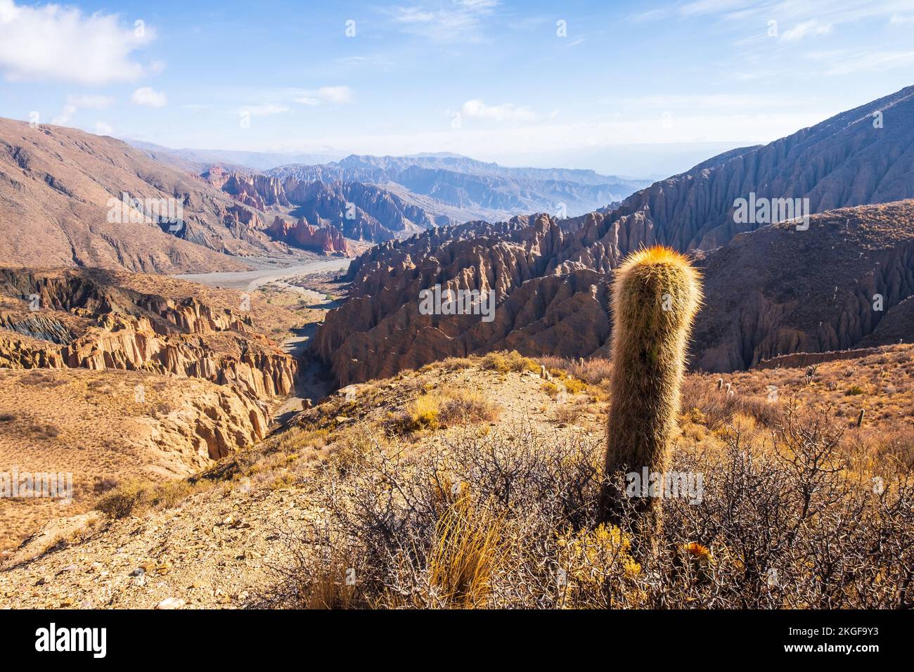 Kaktus- und Landschaftsblick auf El Sillar, Bolivien Stockfoto