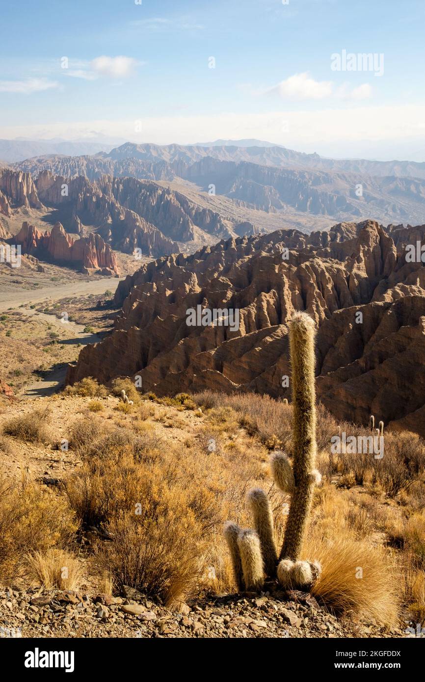 Malerischer Blick auf El Sillar, Bolivien Stockfoto