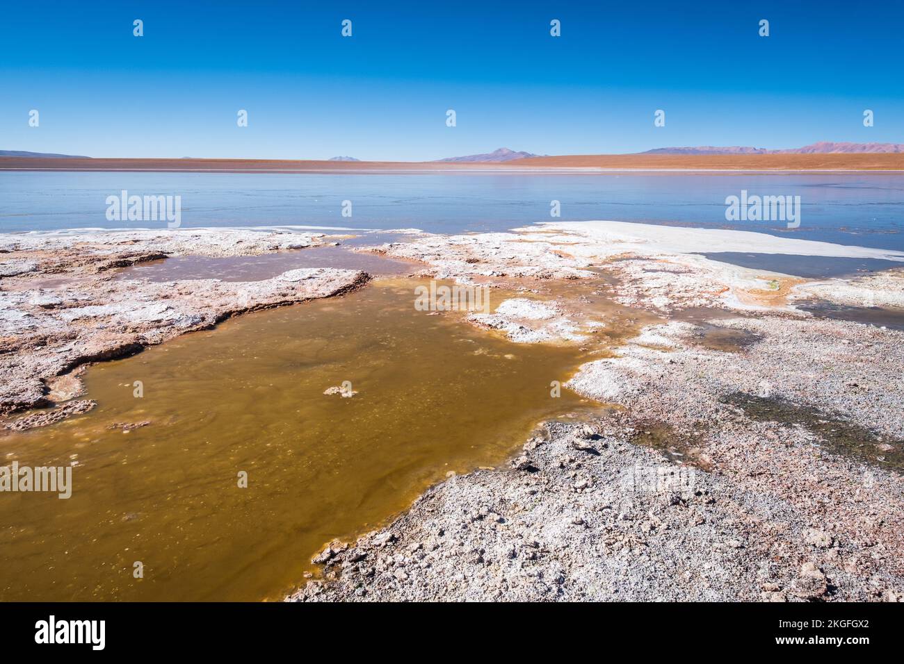 Panoramablick auf Laguna Hedionda auf der Altiplano (Hochebene), Provinz Sur Lípez, Bolivien Stockfoto