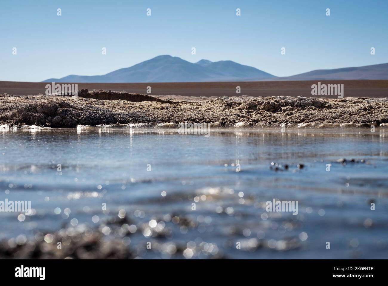 Panoramablick auf Laguna Hedionda auf der Altiplano (Hochebene), Provinz Sur Lípez, Bolivien Stockfoto