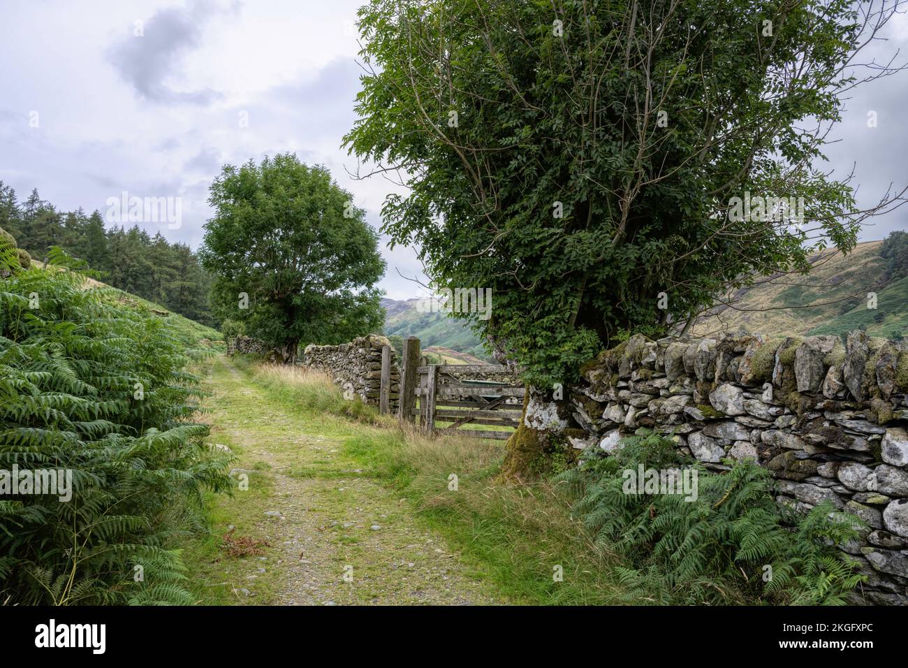Landschaft in Watendlath Tarn, Cumbria, England. Stockfoto