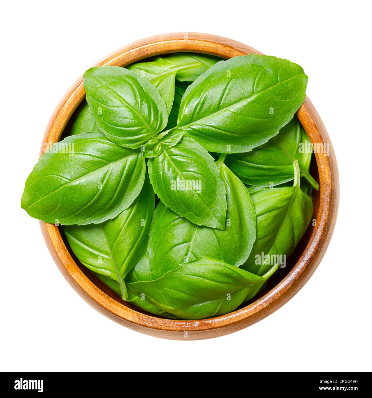 Frische süße Basilikumblätter in einer Holzschüssel. Ocimum basilicum, ein kulinarisches Kraut der Minzfamilie Lamiacea, auch bekannt als großes Basilikum oder Genovesisches Basilikum. Stockfoto