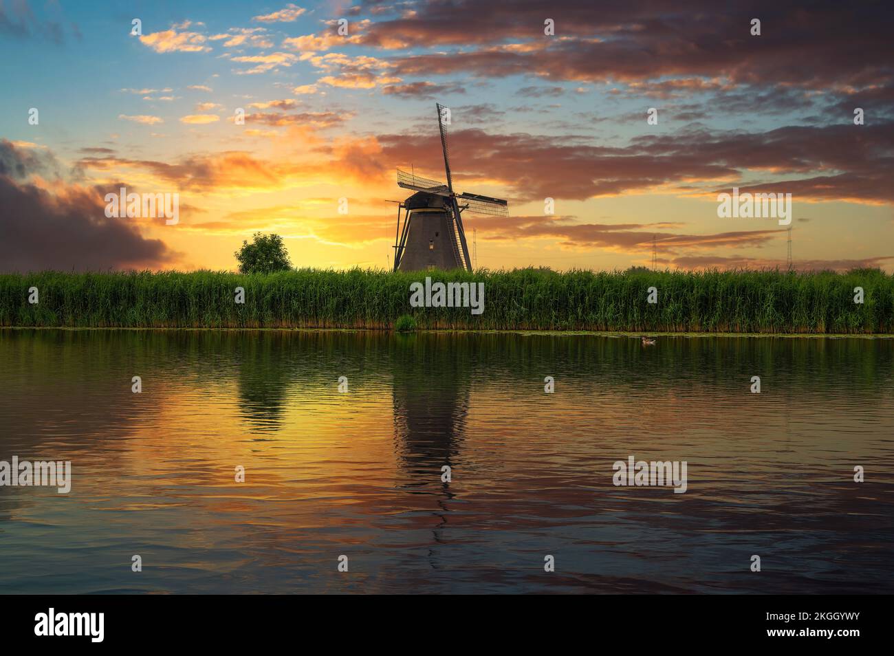 Sonnenuntergang über einer alten holländischen Windmühle an einem Fluss in Kinderdijk, Niederlande Stockfoto