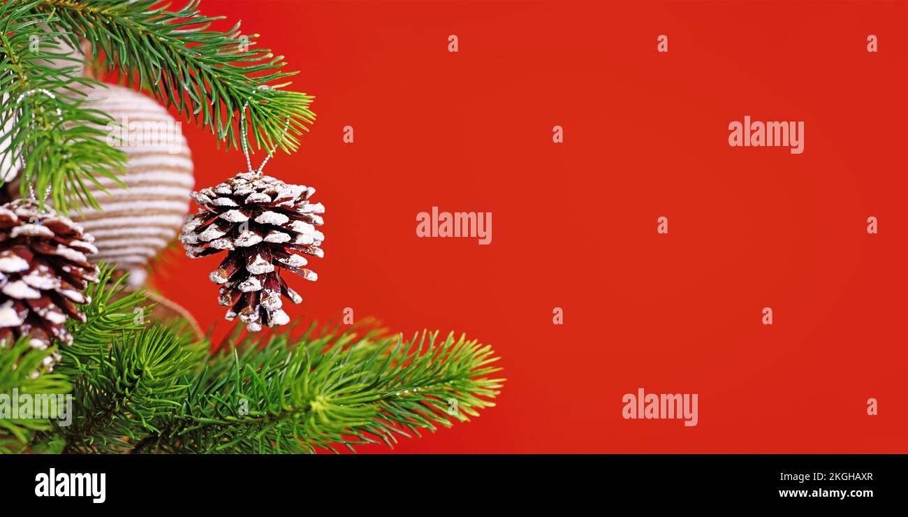 Rotes Weihnachtsbanner mit natürlichen Tannenzapfen mit Schnee und Glitzer auf dem Baum Stockfoto