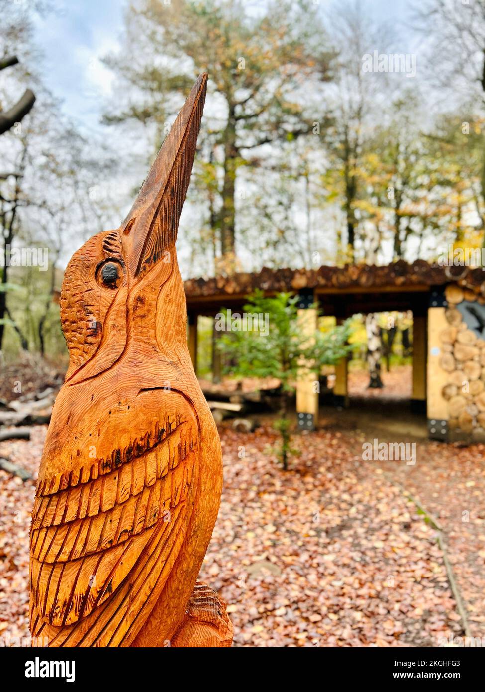 Adel Dam Nature Reserve, ein Yorkshire Wildlife Trust Reservat in Leeds Stockfoto