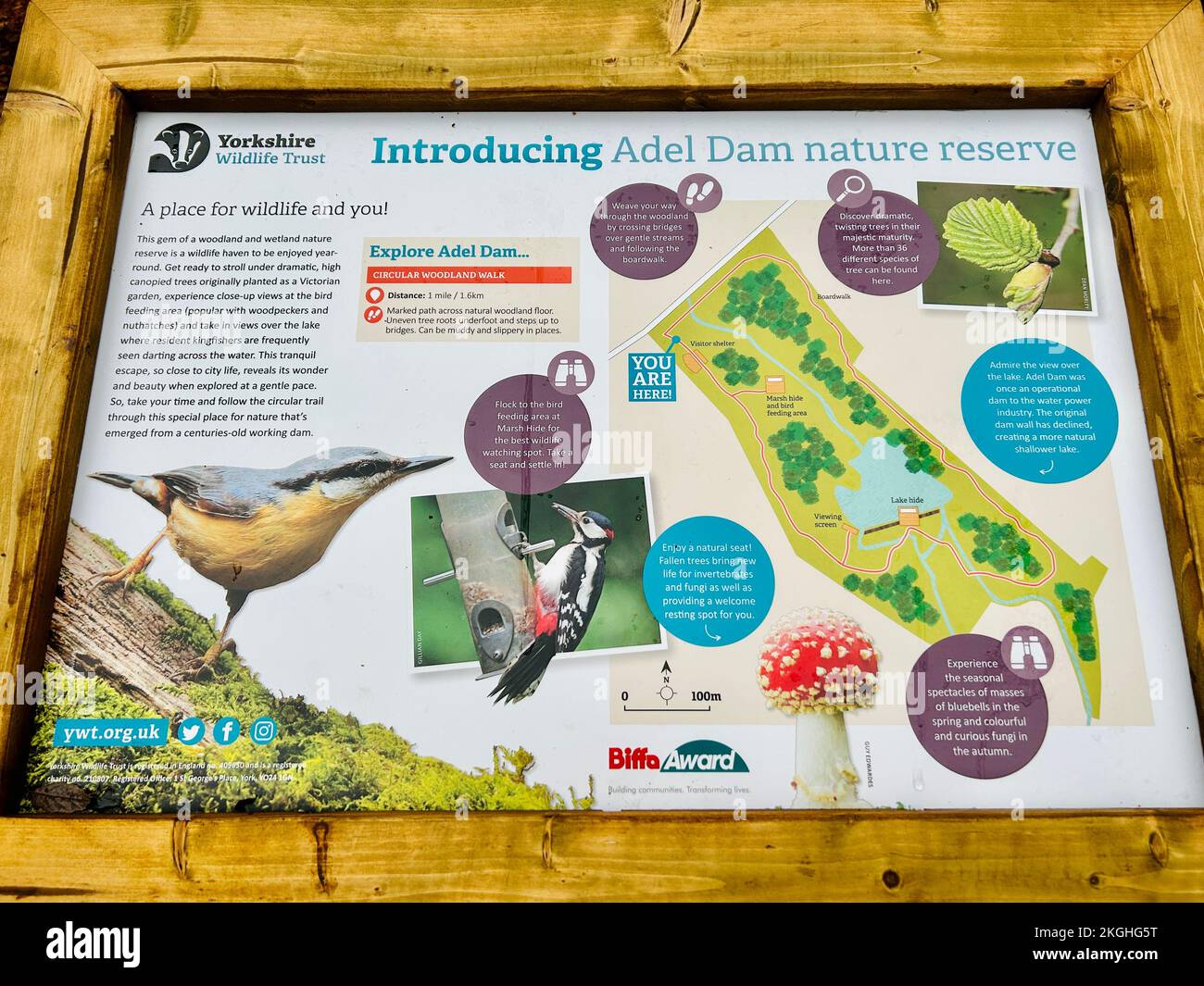 Adel Dam Nature Reserve, ein Yorkshire Wildlife Trust Reservat in Leeds Stockfoto