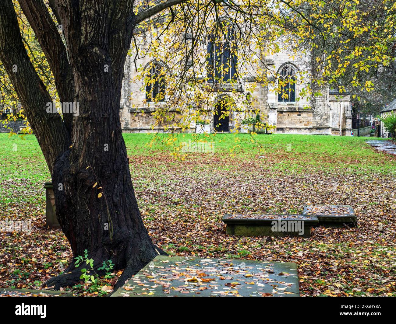 Die St. Johns Church verlässt Knaresborough North Yorkshire England im Herbst Stockfoto