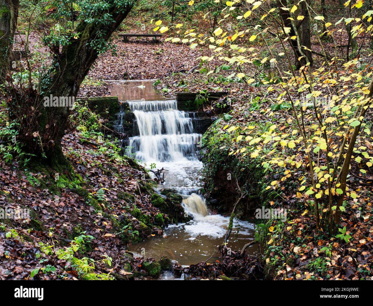 Wasserfall Mackintosh Park im Herbst Knaresborough North Yorkshire England Stockfoto