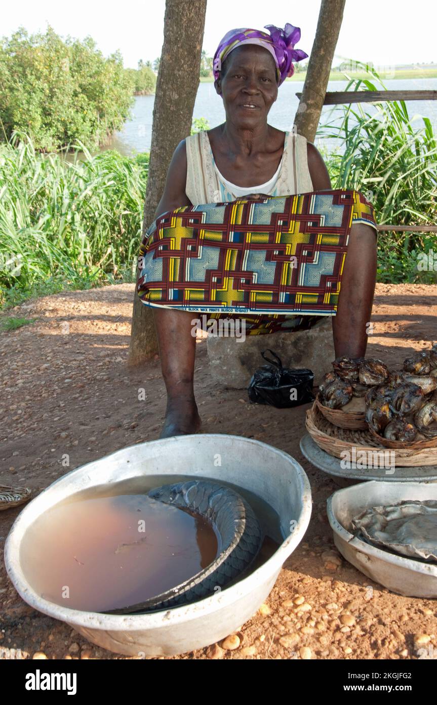 Frau, die Fisch verkauft (geräuchert und frisch), Lake Aheme, Benin. Lake Aheme ist ein Voodou Centre in Benin, aber auch eines, wo viele Menschen ihren Lebensunterhalt mit Angeln verdienen. Stockfoto