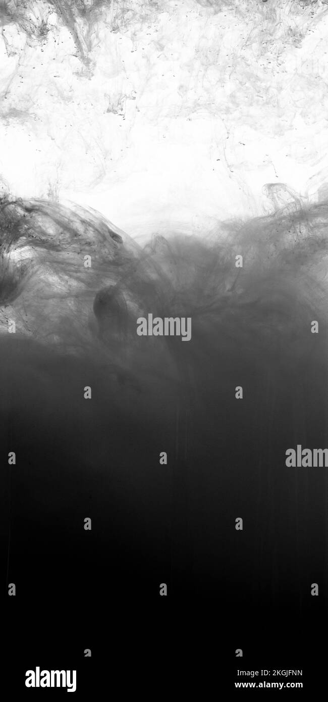 Schwarz und Weiß fließen in Rauchform, glatte abstrakte Bewegung durch Acrylfarbe Stockfoto