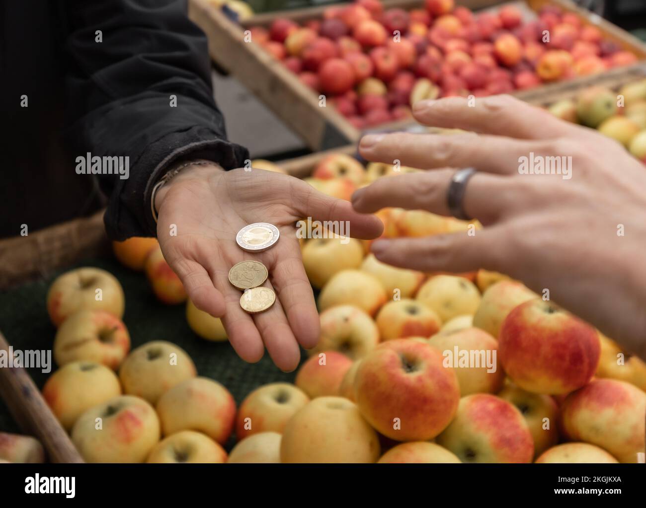 Eine Frau kauft Äpfel und bezahlt mit Bargeld für Einkäufe auf einem offenen Lebensmittelmarkt in Österreich, Salzburg Stockfoto