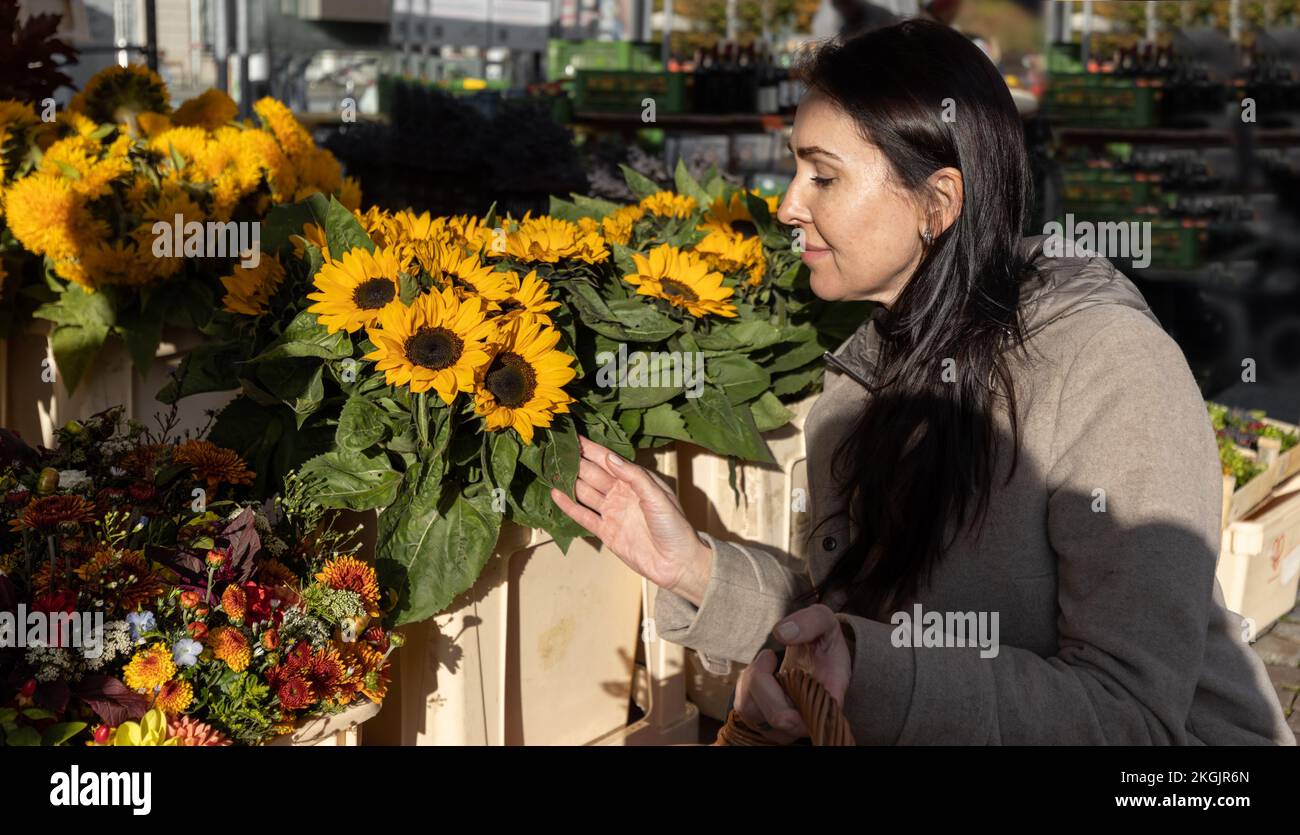 Eine Frau im beigen Mantel sieht auf einem Straßenmarkt in Österreich, Salzburg, einen Strauß Sonnenblumen an Stockfoto