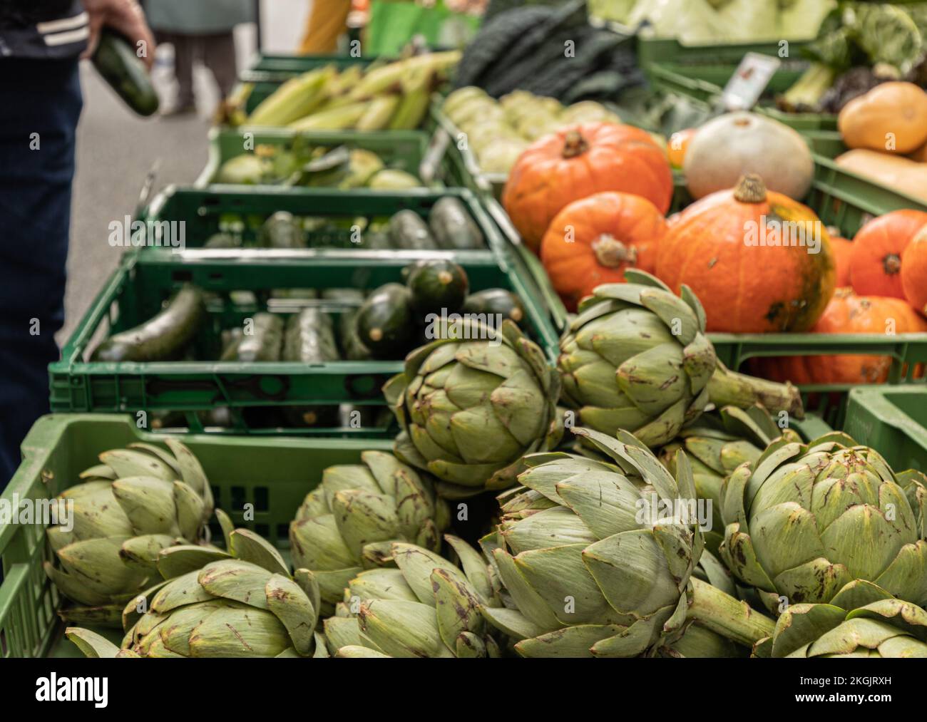 Schönes und gesundes Gemüse liegt in Plastikboxen auf dem österreichischen Straßenmarkt Stockfoto
