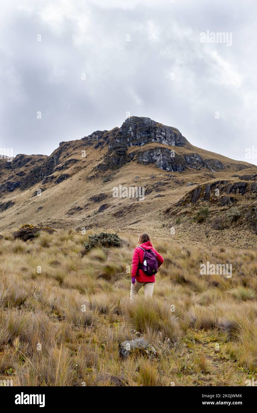 Vertikales Ganzkörperfoto von hinten von einer Wanderin im Cajas-Nationalpark im Hochland von Ecuador, Cuenca, tropischen Anden. Stockfoto