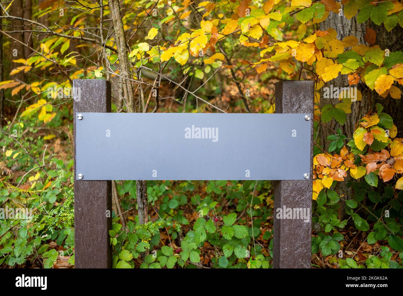 Leeres Schild mit Platz für Text in herbstlicher Naturkulisse Stockfoto