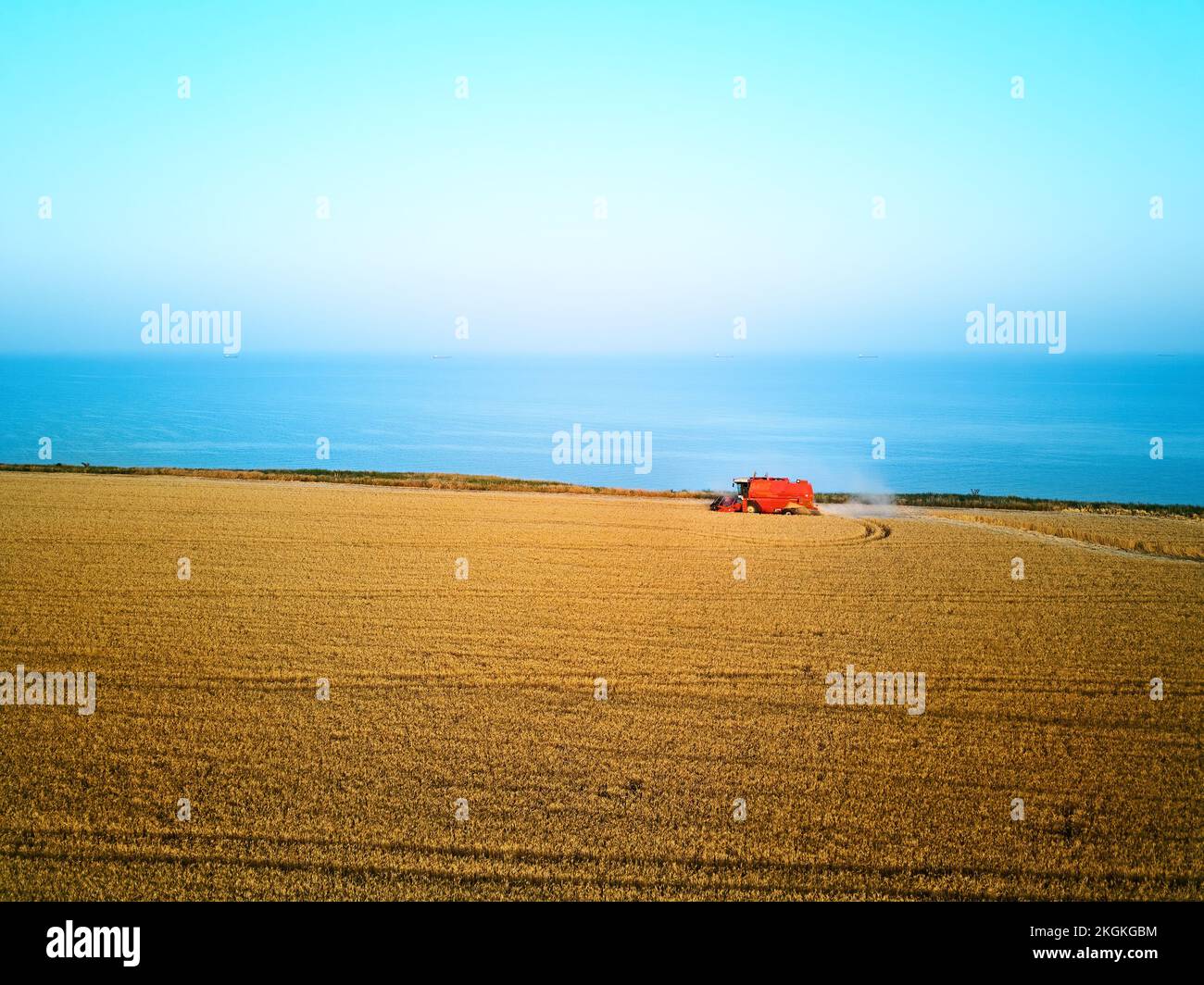 Antenne von roten Mähdrescher arbeiten in Weizenfeld in der Nähe von Klippen mit Meerblick bei Sonnenuntergang. Erntemaschine Schneiden von Getreide in Ackerland in der Nähe des Ozeans Stockfoto