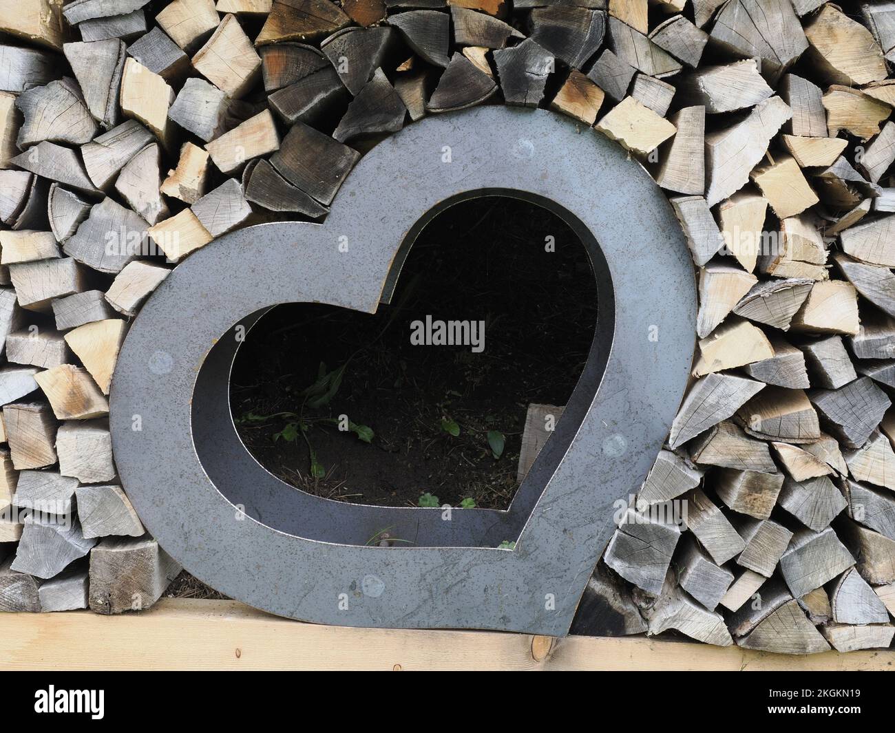 Herz in Holzstämmen, Nahaufnahme Stockfoto