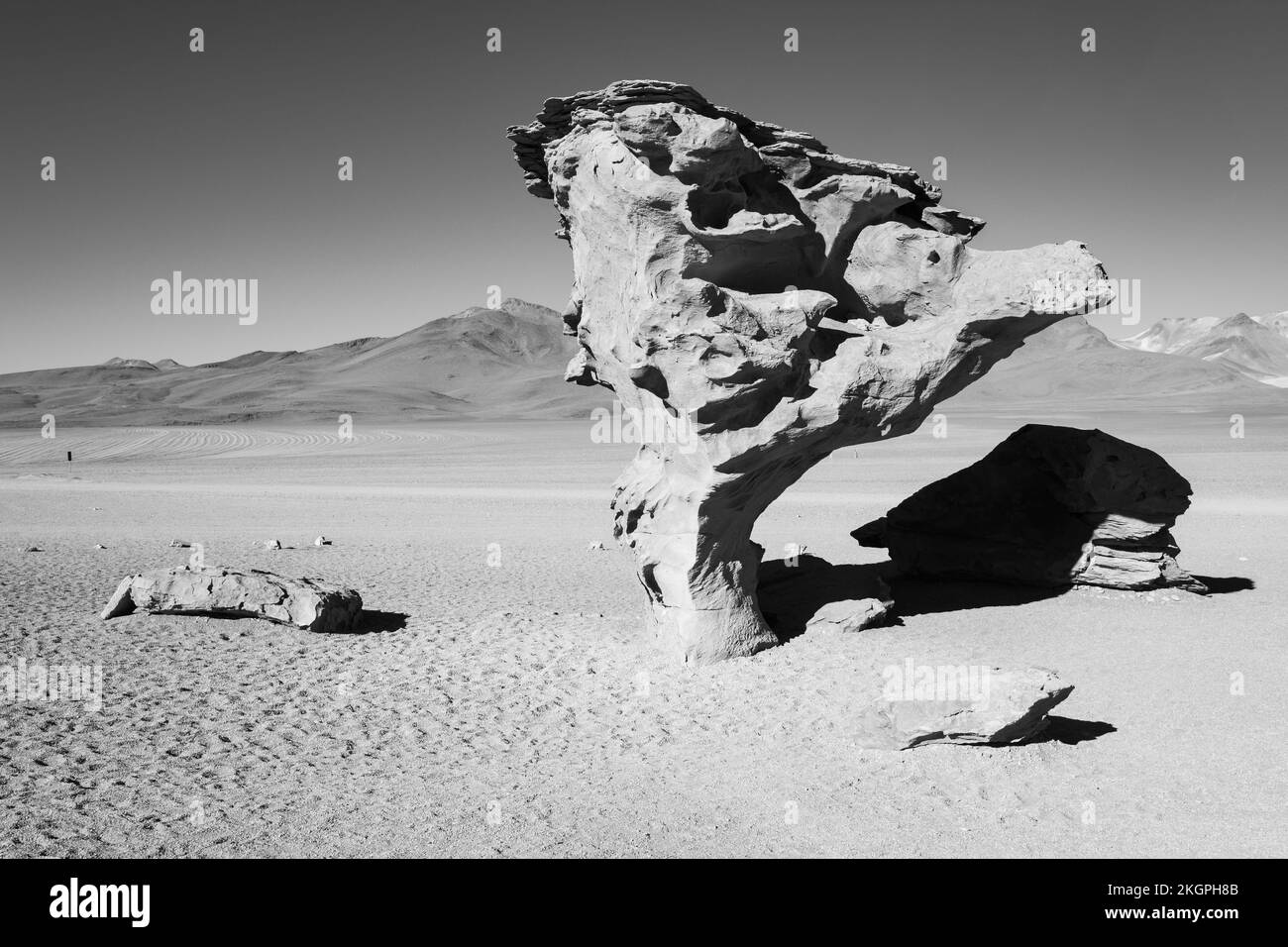 Árbol de Piedra oder Felsenbaum in Altiplano oder Hochebene in blanck und White, Provinz Sud Lipez, Departement Potosi, Bolivien Stockfoto