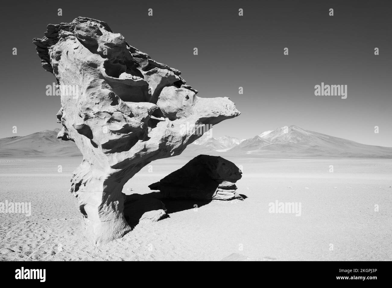 Árbol de Piedra oder Felsenbaum in Altiplano oder Hochebene in blanck und White, Provinz Sud Lipez, Departement Potosi, Bolivien Stockfoto