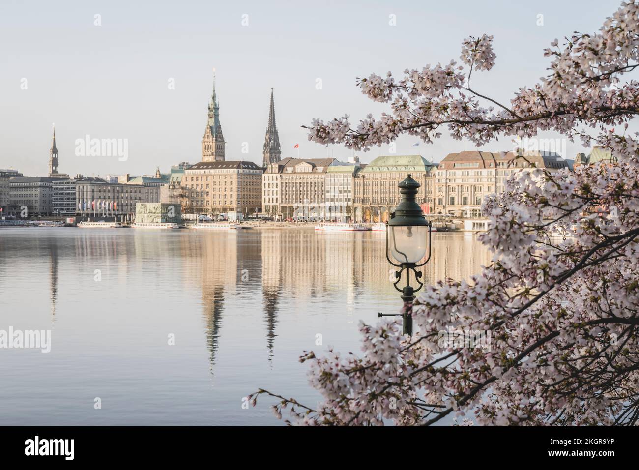 Deutschland, Hamburg, Binnenalster im Frühling mit Straßenbeleuchtung und Kirschblütenzweigen im Vordergrund Stockfoto