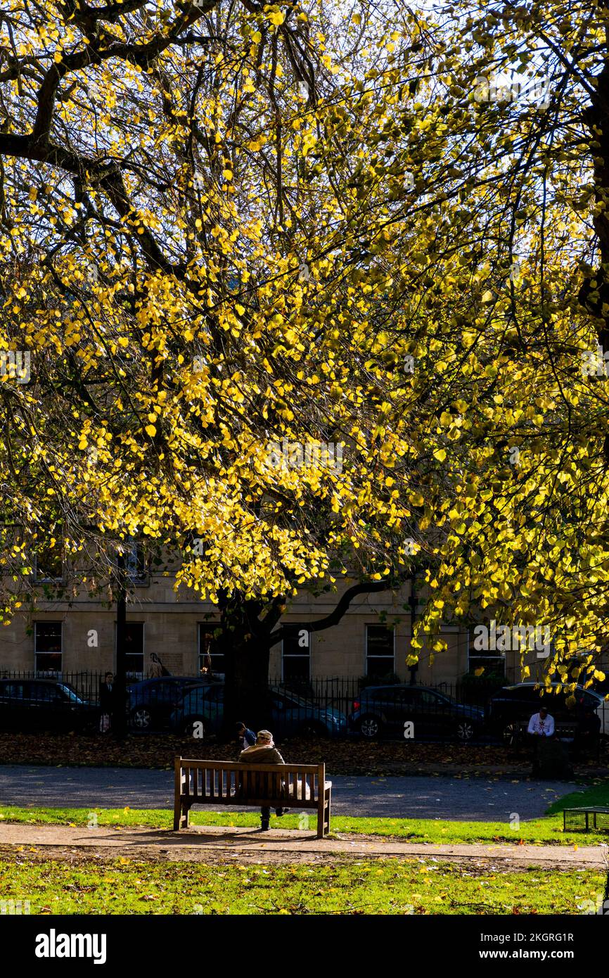 Queen Square im Herbst oder Herbst, Bath, Somerset, England, Großbritannien Stockfoto