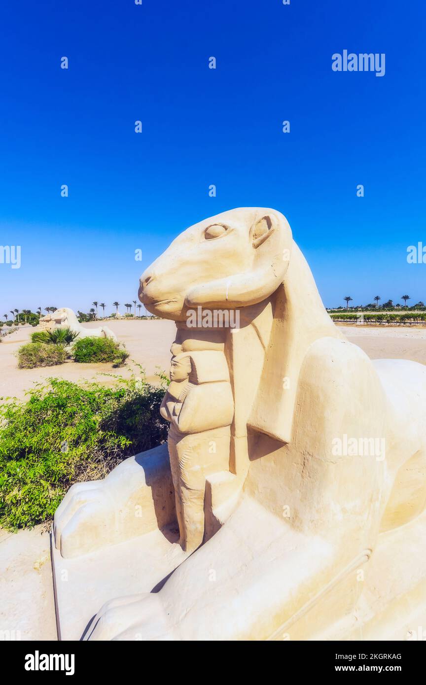 Ägypten, Rotes Meer, Skulptur von Criosphinx in Soma Bay Stockfoto