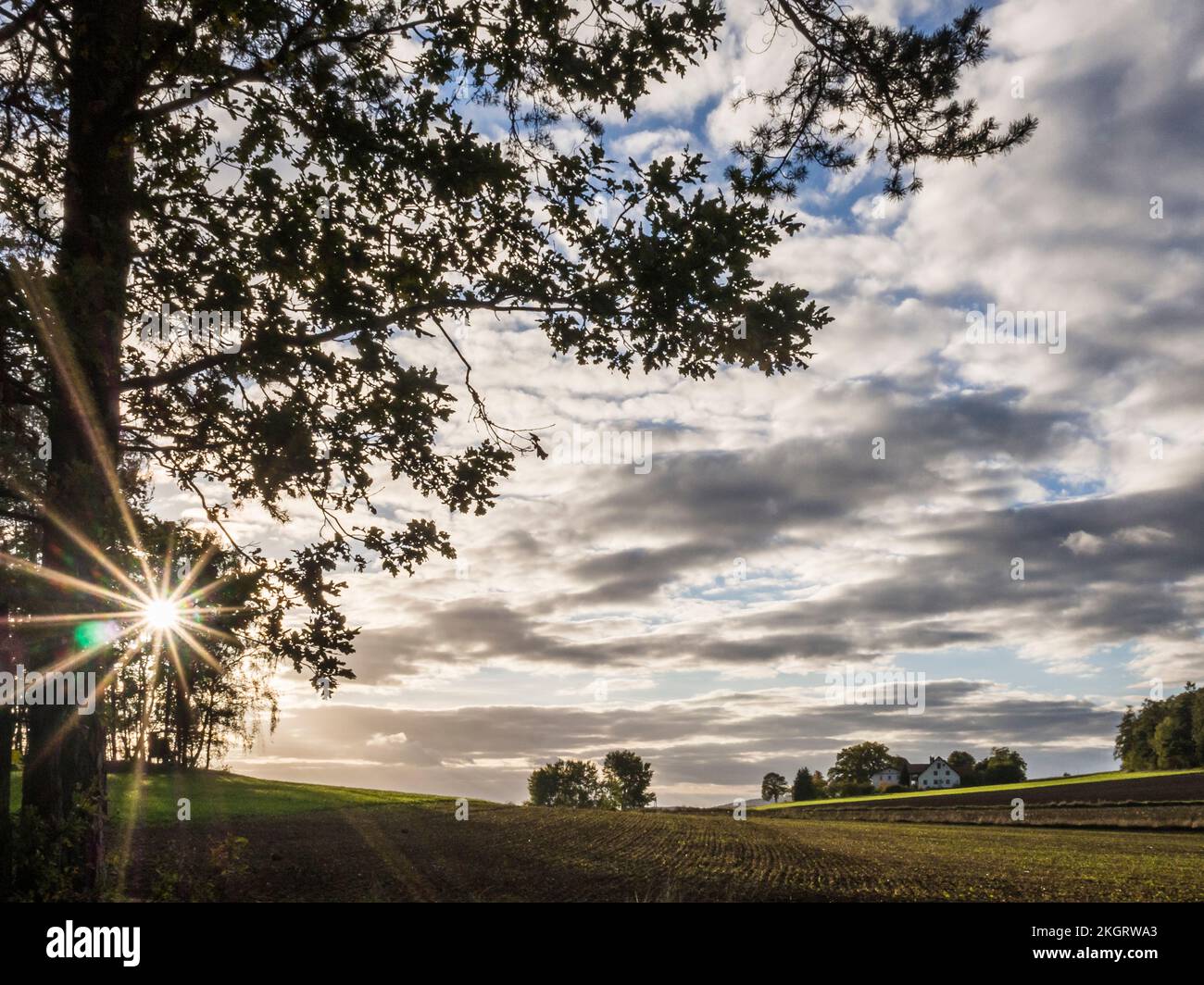 Blick auf den bewölkten Himmel über dem Landschaftsfeld bei Sonnenuntergang Stockfoto