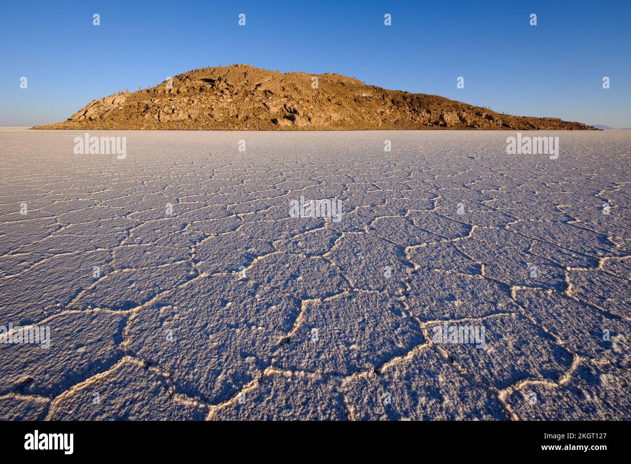 Incahuasi Island (oder Inkawasi) in der Mitte von Salar de Uyuni (Uyuni Salz flach), Potosi Department, Bolivien Stockfoto