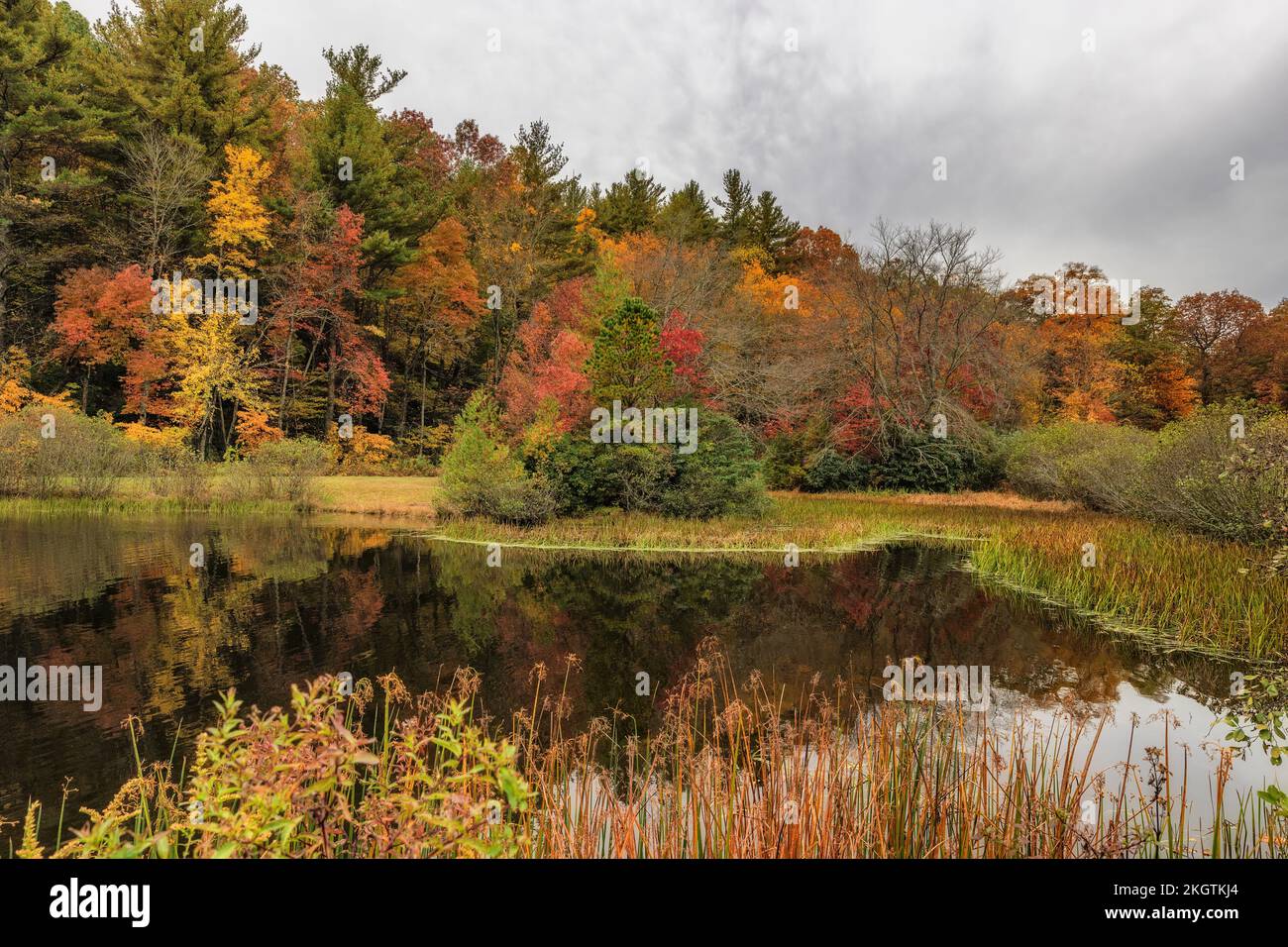 Little Good Mill Pond in Herbstkleidung am North Carolina Blue Ridge Parkway. Stockfoto