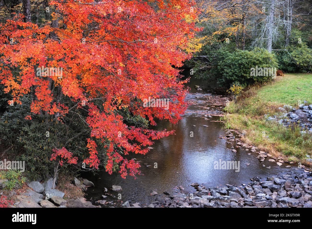 Ein kleiner Bach unterhalb des Price Lake Dammes am Blue Ridge Parkway in North Carolina im Herbst Stockfoto
