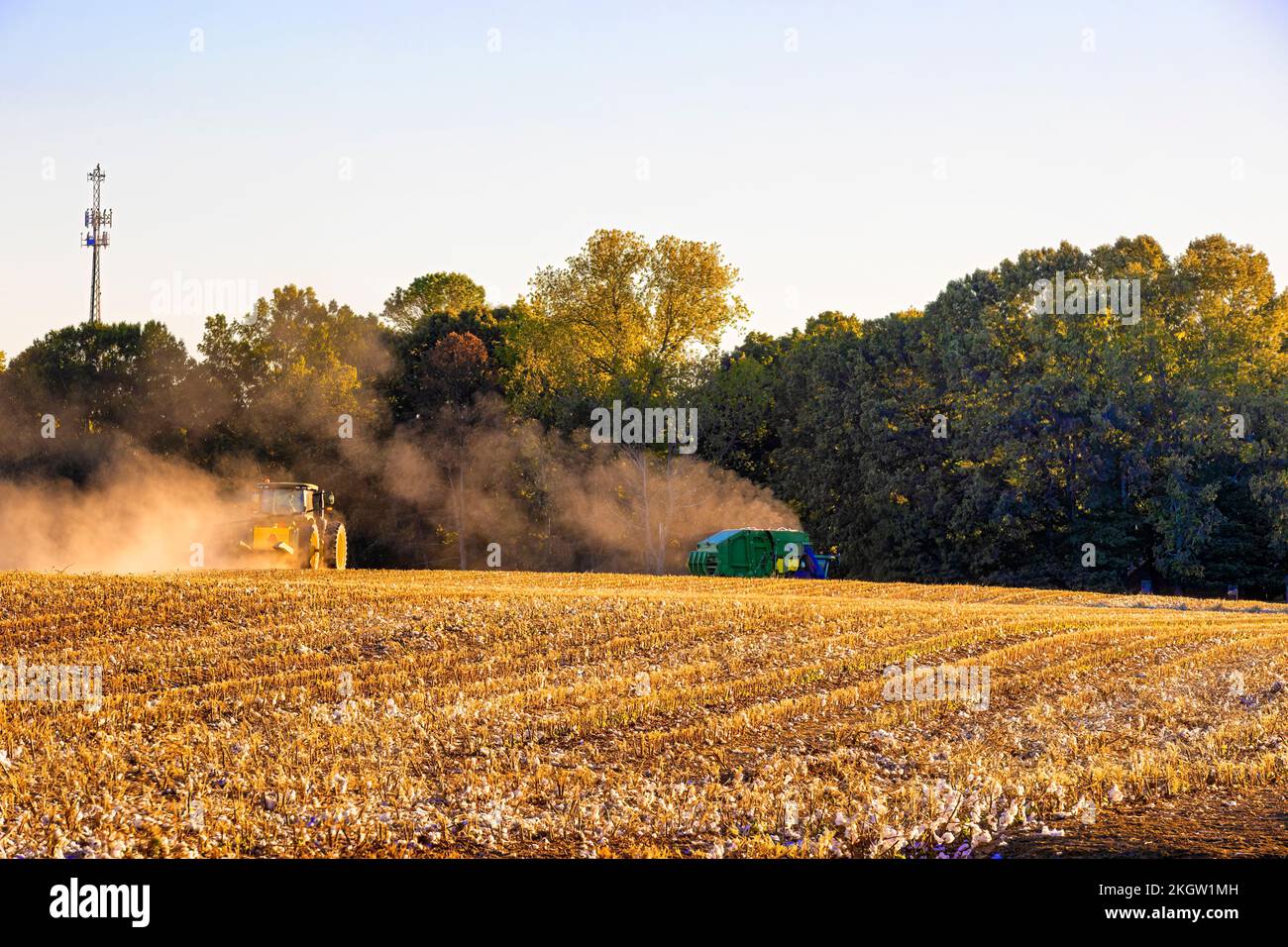 Ländliches Arkansas, USA - 1. Oktober 2022: Ein Traktor fährt zurück über ein Baumwoll-Stoppelfeld in Richtung der Erntemaschine, um eine weitere Runde aufzunehmen Stockfoto