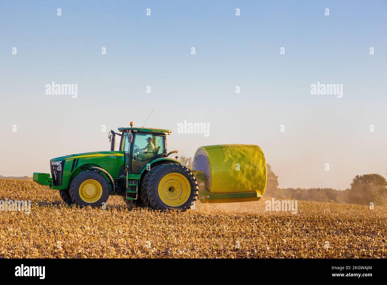 Ländliches Arkansas, USA - 1. Oktober 2022: Ein John Deere Traktor nimmt die Baumwollbügel von den Erntemaschinen auf und transportiert sie, um sie mit anderen zu stapeln Stockfoto