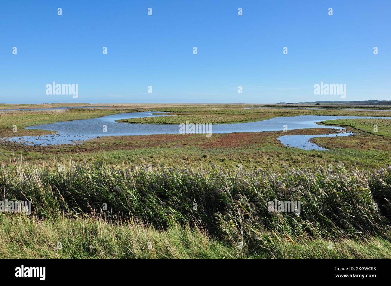 Die Freiflächen von Cley Marshes, Cley Next the Sea, Norfolk, England, Großbritannien Stockfoto