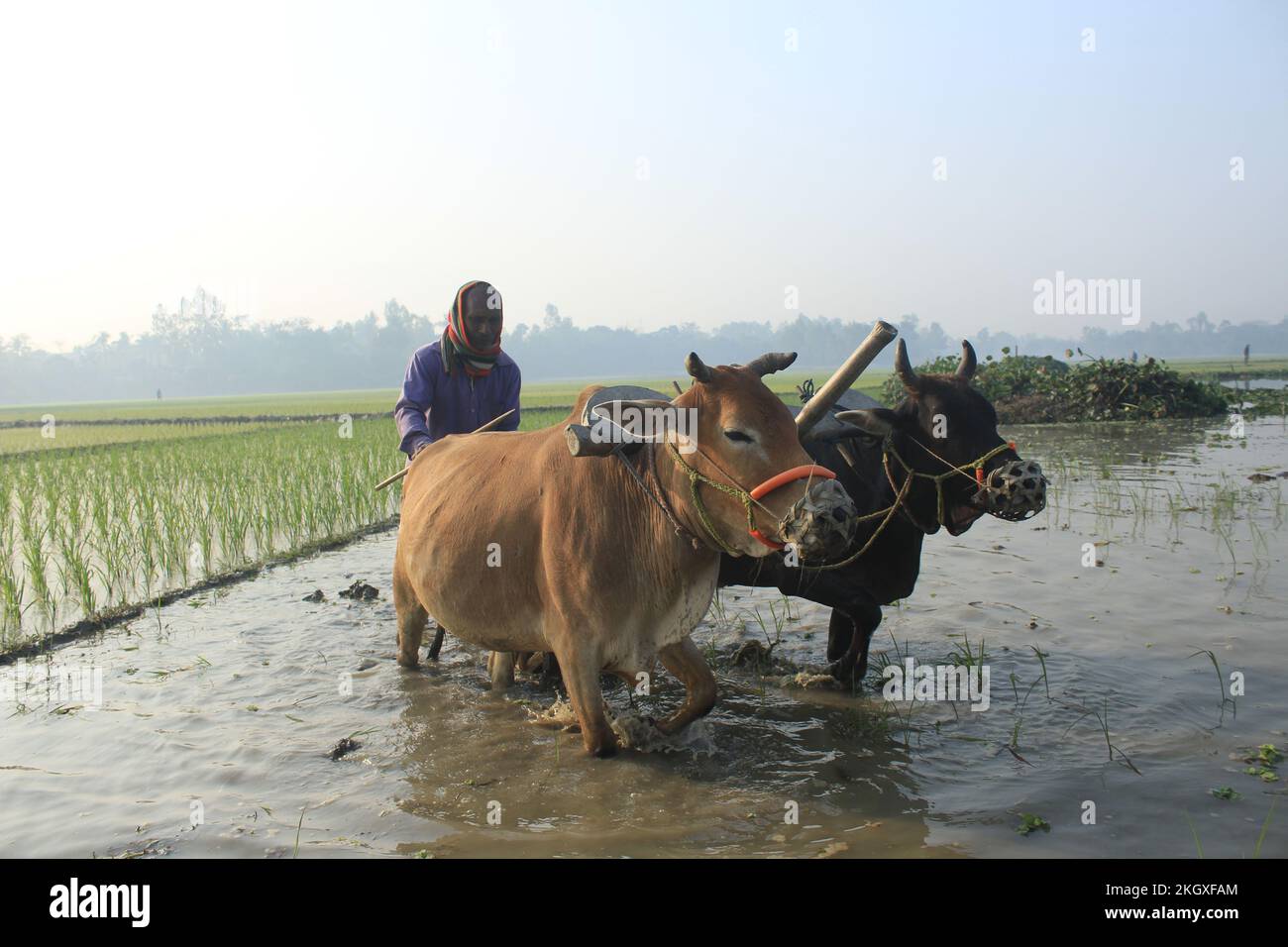 Das geschäftige Treiben Stockfoto