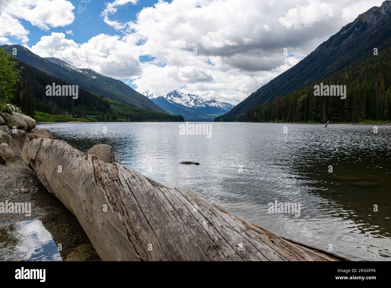 Der Duffey Lake im Provincial Park mit Kiefernwäldern in den Bergen vor blauem, wolkigen Himmel, Kanada, BC, bietet einen Blick auf viele Bäume oder Treibholz, die im Wasser schwimmen Stockfoto