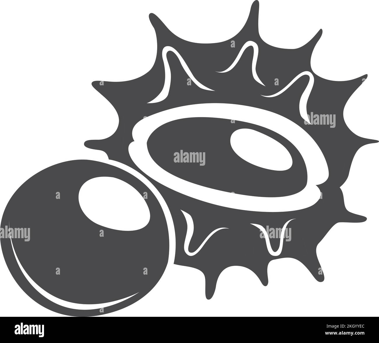 Kastaniensymbol. Ganzer und geschälter organischer Samen Stock Vektor
