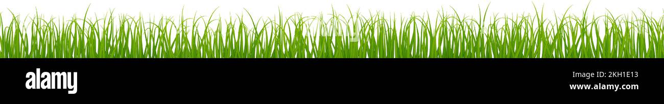 Grüner Grasrand. Horizontales realistisches Pflanzenmuster Stock Vektor