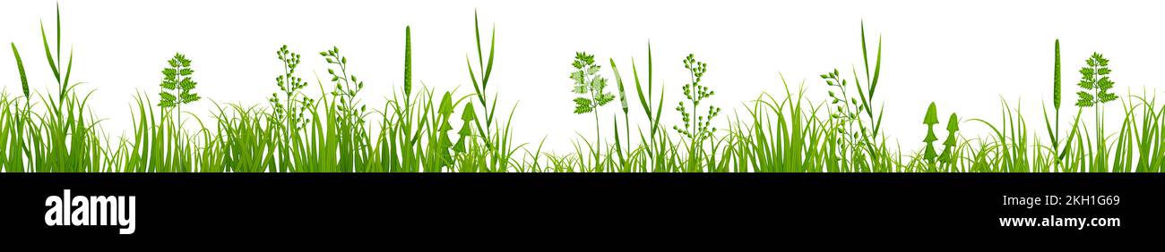 Horizontaler Grasrand. Grüne Wiesenpflanzen wachsen Stock Vektor