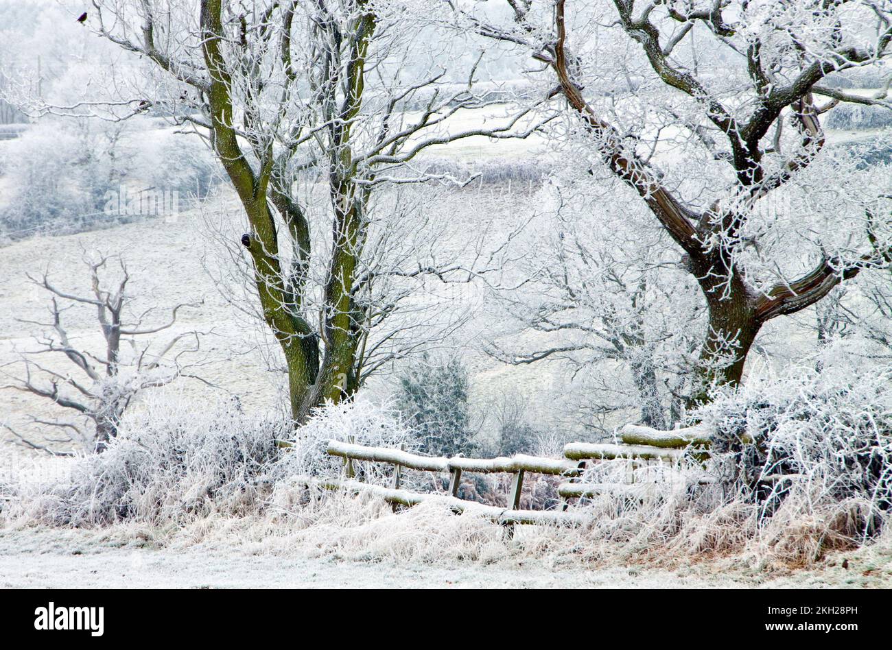 Cannock Wood Frosted Trees Hecken und Felder Winter Cannock Chase Country Park AONB (Gebiet von außergewöhnlicher natürlicher Schönheit) Staffordshire England Großbritannien Stockfoto