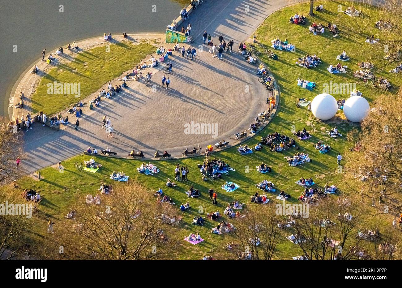 Luftaufnahme, Sonnenbaden auf der Wiese des Aasee mit riesigen