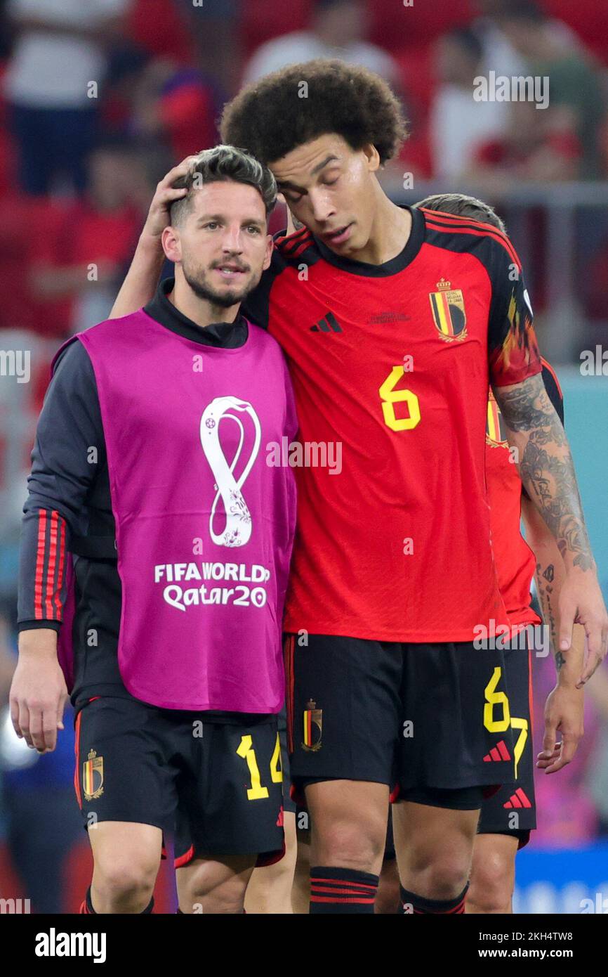 Al-Rayyan, Katar. 23.. November 2022. Belgiens Dries Mertens und Belgiens Axel Witsel feiern nach dem Sieg eines Fußballspiels zwischen der belgischen Nationalmannschaft der Red Devils und Kanada in Gruppe F der FIFA-Weltmeisterschaft 2022 in Al Rayyan, Staat Katar, am Mittwoch, den 23. November 2022. BELGA PHOTO VIRGINIE LEFOUR Kredit: Belga News Agency/Alamy Live News Stockfoto