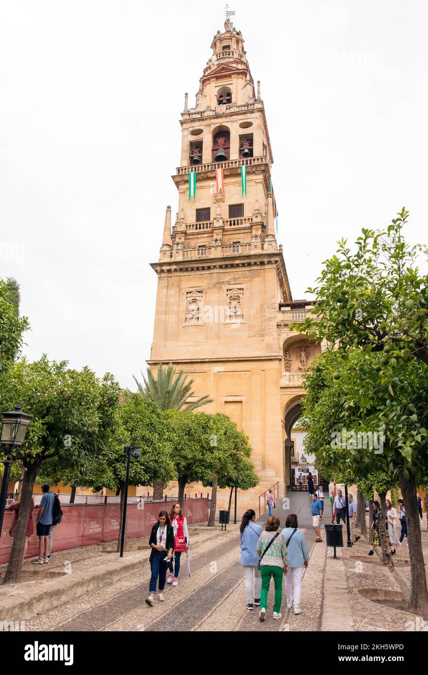 Glockenturm der Moschee-Kathedrale von Cordoba, Andalusien, Spanien Stockfoto