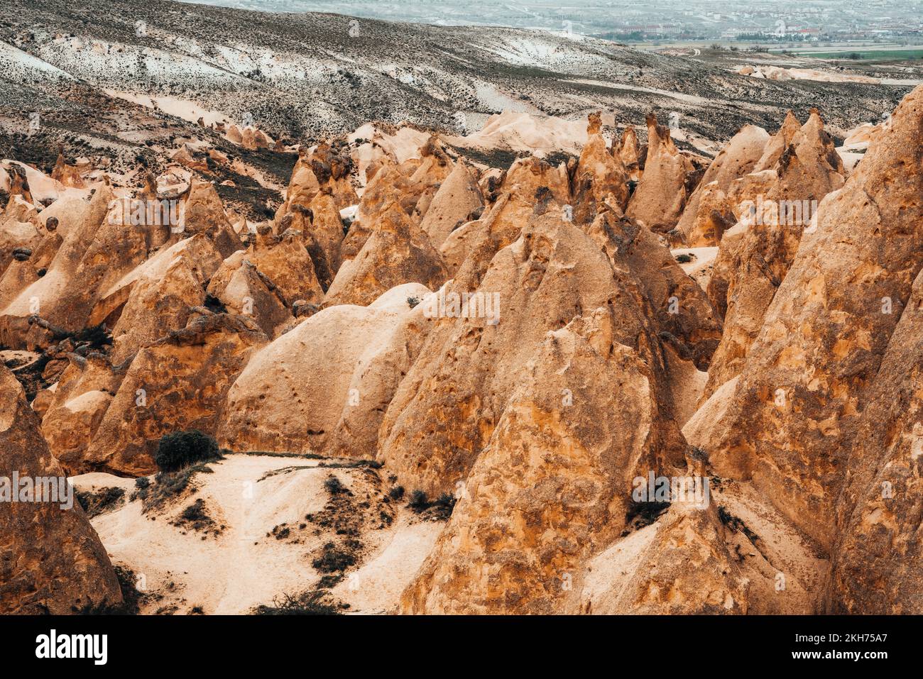 Rose Valley um Goreme. Anatolisches Plateau. Kappadokien. Türkei. Felsformationen Stockfoto