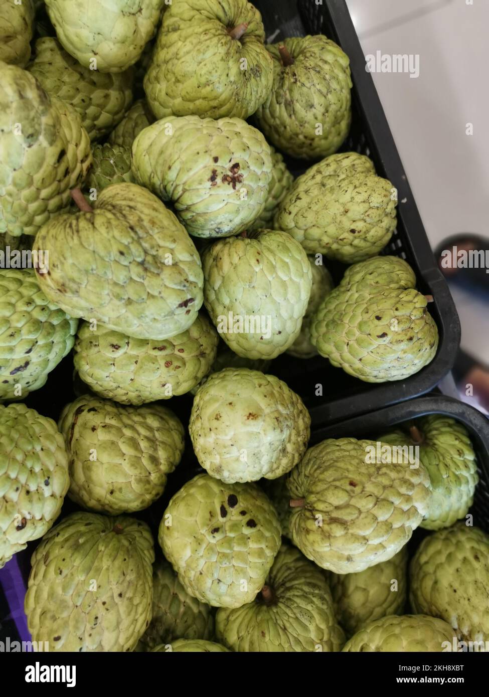 Viele frische thai annona Hydrid Früchte. Stockfoto